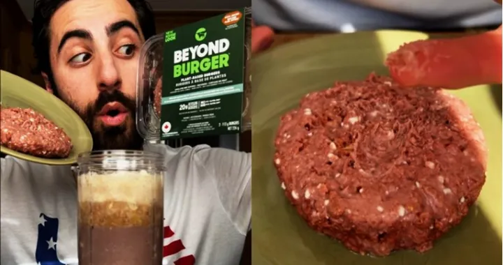 vegansko meso obično alternativa instagram influenser/