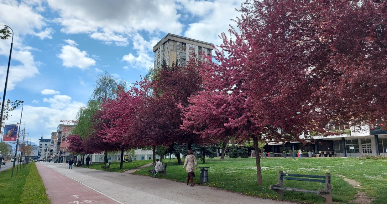 / Lejla Sofradžija/