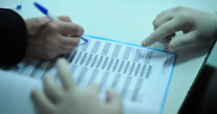 glasanje izbori ilustracija/Anadolija/Željko Miličević