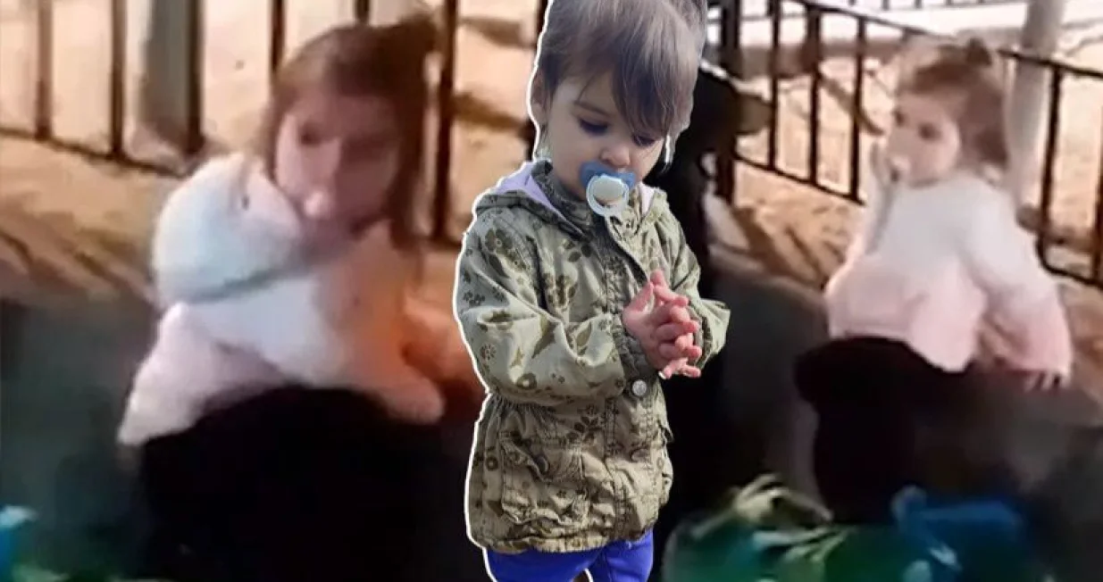 Danka Ilić, nestanak, djevojčica viđena u Beču/Telegraf.rs/