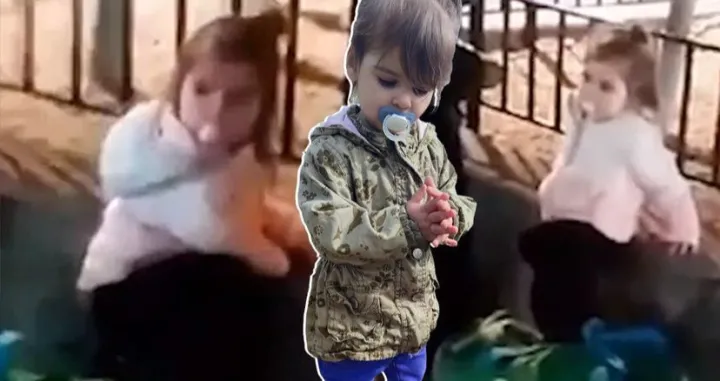 Danka Ilić, nestanak, djevojčica viđena u Beču/Telegraf.rs/