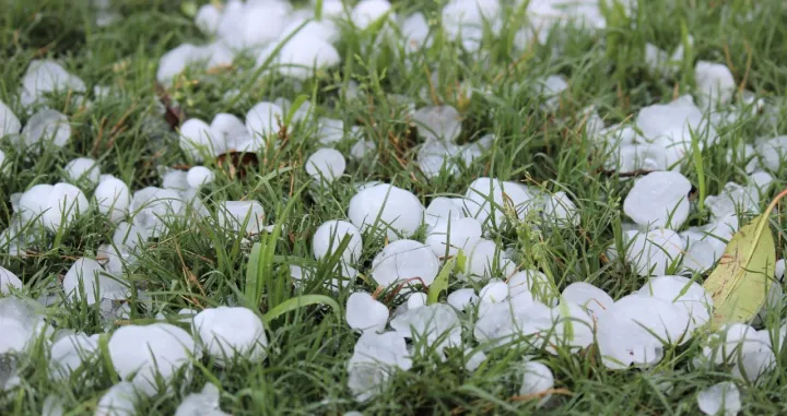 Padao je jak led/ Ilustracija/