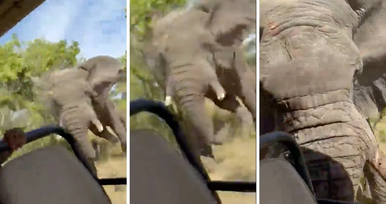 Snimljen užasni trenutak/ X/