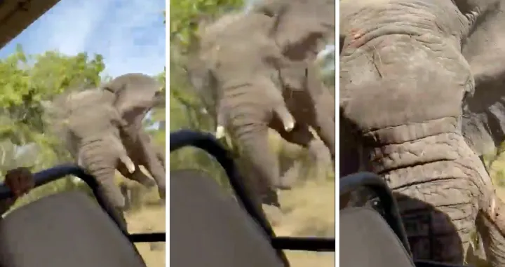 Snimljen užasni trenutak/ X/