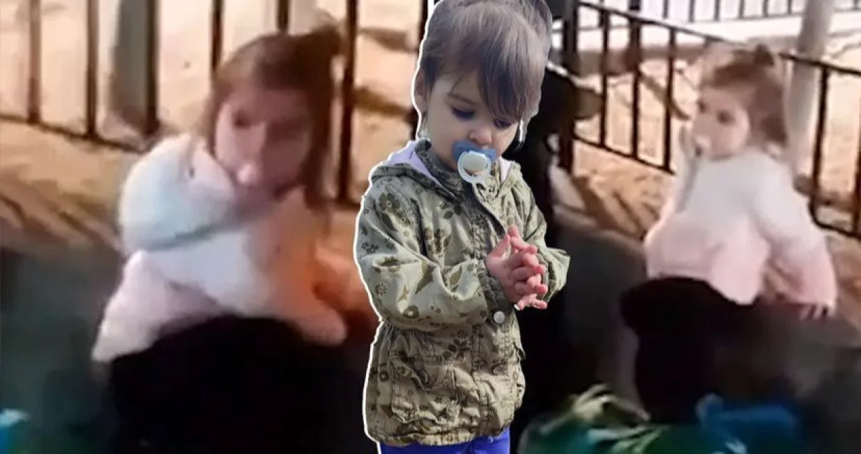 Danka Ilić, nestanak, djevojčica viđena u Beču/Telegraf.rs/