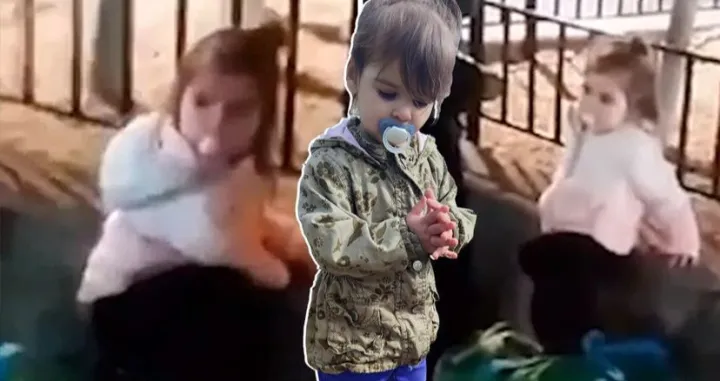 Danka Ilić, nestanak, djevojčica viđena u Beču/Telegraf.rs/