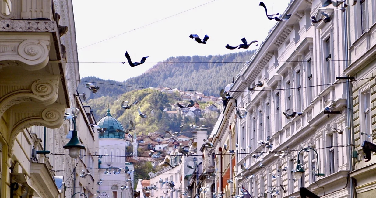 Instalacija Misli sloboda/Think Freedom 1425, obilježavanje 32. godišnjice od početka opsade Sarajeva/Grad Sarajevo