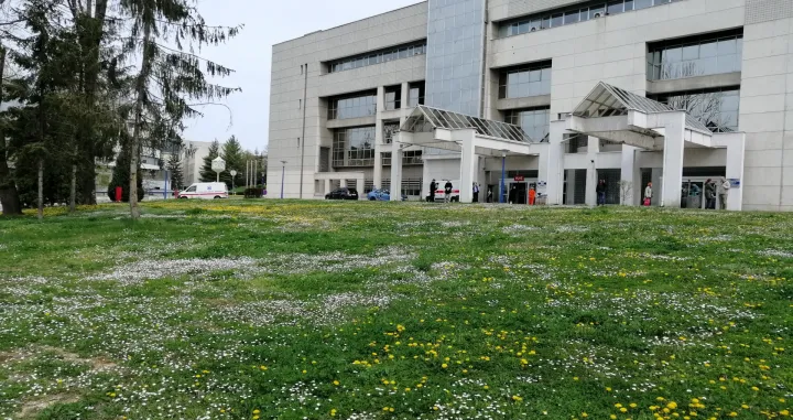 Rascvjetali travnjak u KCUS-u u Sarajevu/