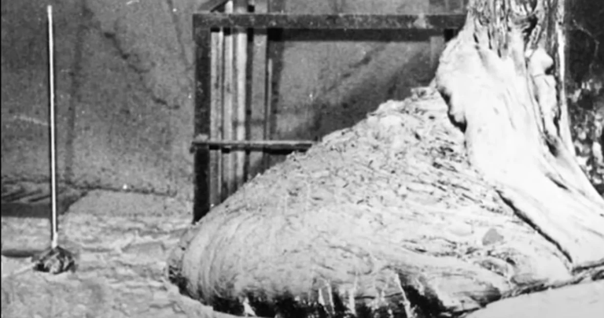 Slonovo stopalo je ''truplo černobila''/ Screenshot/ Youtube/ US Department of Energy/