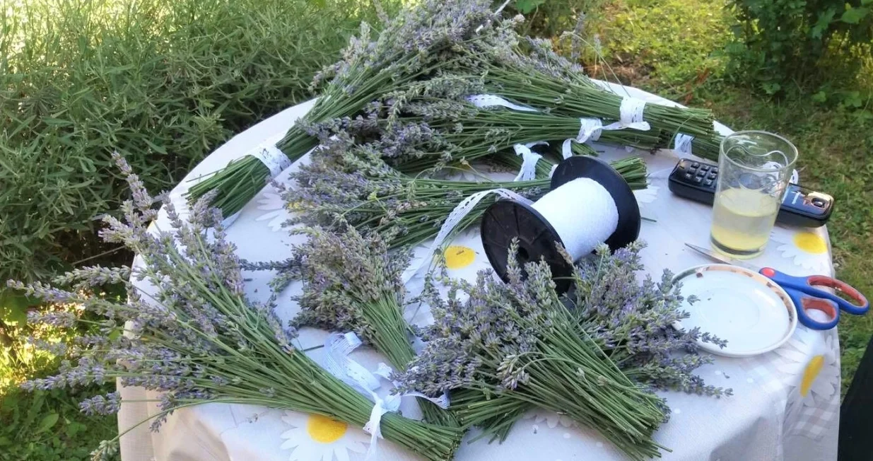 Sweden/USAID FARMA II projekt podržao je obuku 30 žena o proizvodnji i preradi ljekovitog i aromatičnog bilja1/