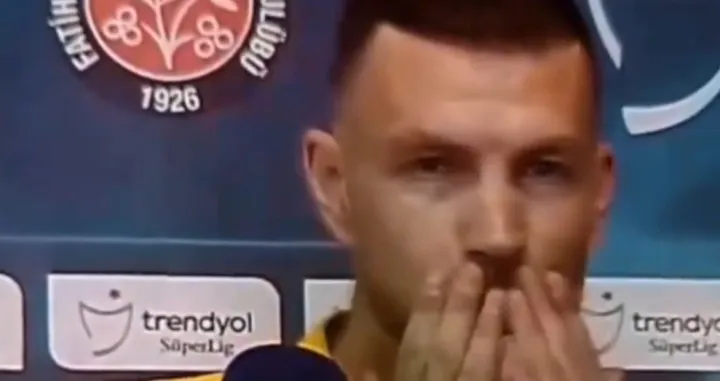 Edin Džeko - igrač Fenera