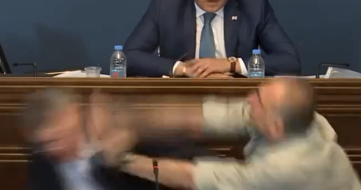 tuča u gruzijskom parlamentu gruzija screenshot/