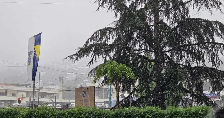 / Lejla Sofradžija/