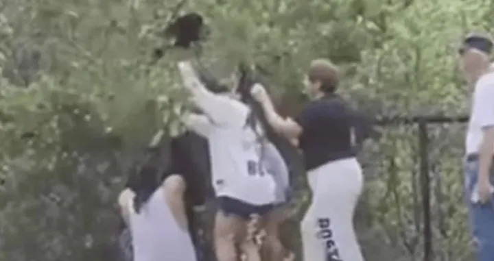 Grupa ljudi zlostavljala i uznemiravala medvjediće zbog - selfieja/X/@nash_animal_adv