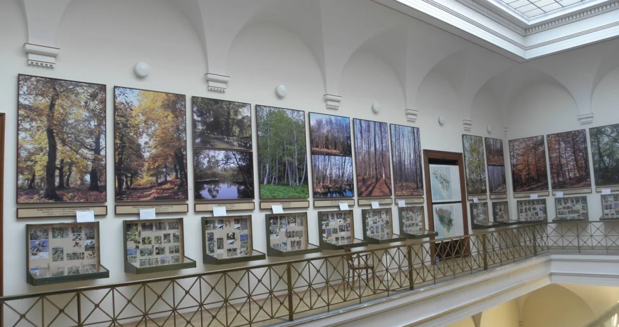 Stalna izložba "Šume Bosne i Hercegovine" u Zemaljskom muzeju BiH      čiji je autor dr. Čedomil Šilić (Foto: D. Šoljan)/