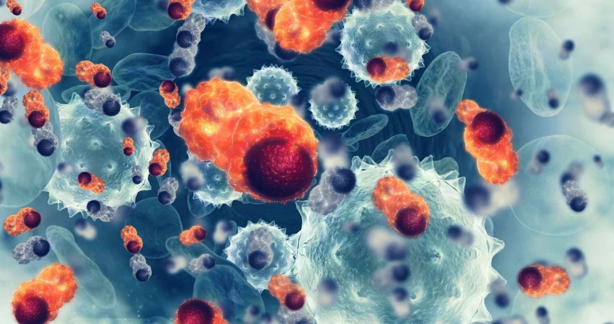 Sintetske ćelije se ponašaju baš kao prave/ Canva/Amir9937