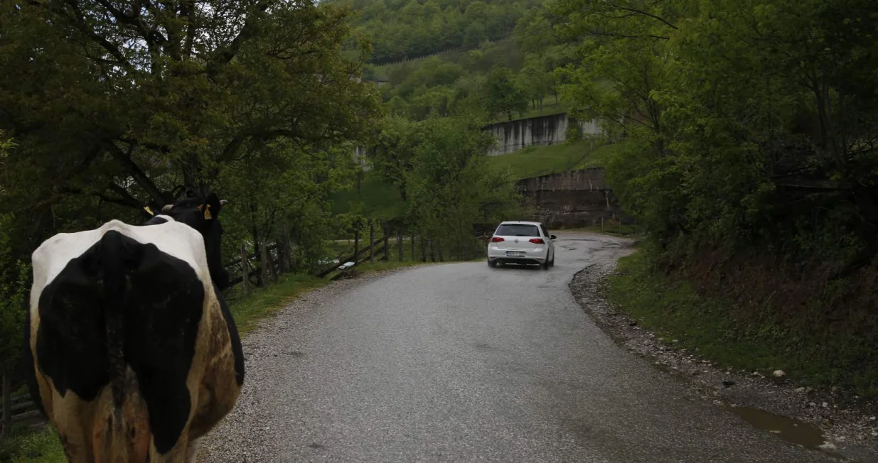 Put Foča - Šćepan-polje/Damir Deljo/