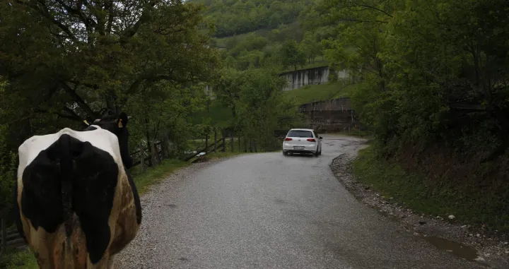 Put Foča - Šćepan-polje/Damir Deljo/