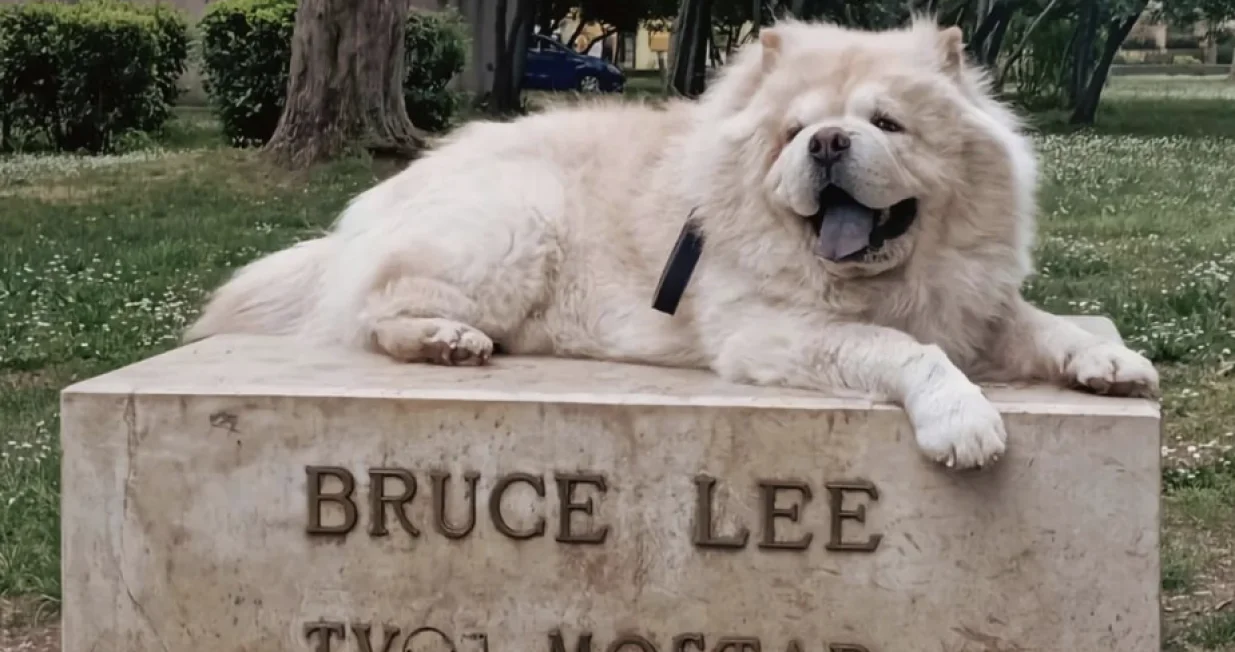 Bruce Lee - Tvoj Lu/ Instagram/