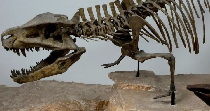 Ilustracija/ Needpix/