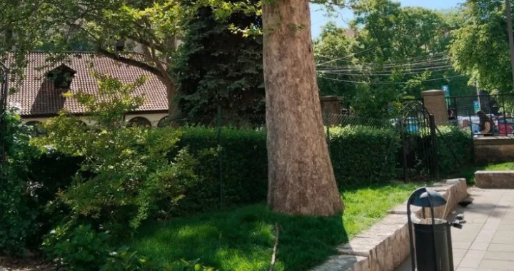 Pala Grana/Telegraf.rs/