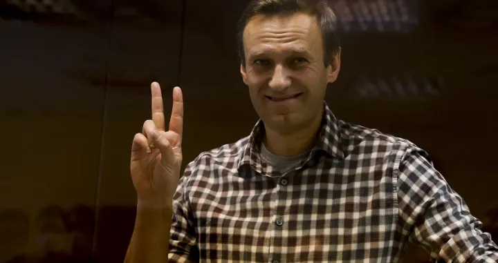 Alexei Navalny, Aleksej Navaljni/Anadolija