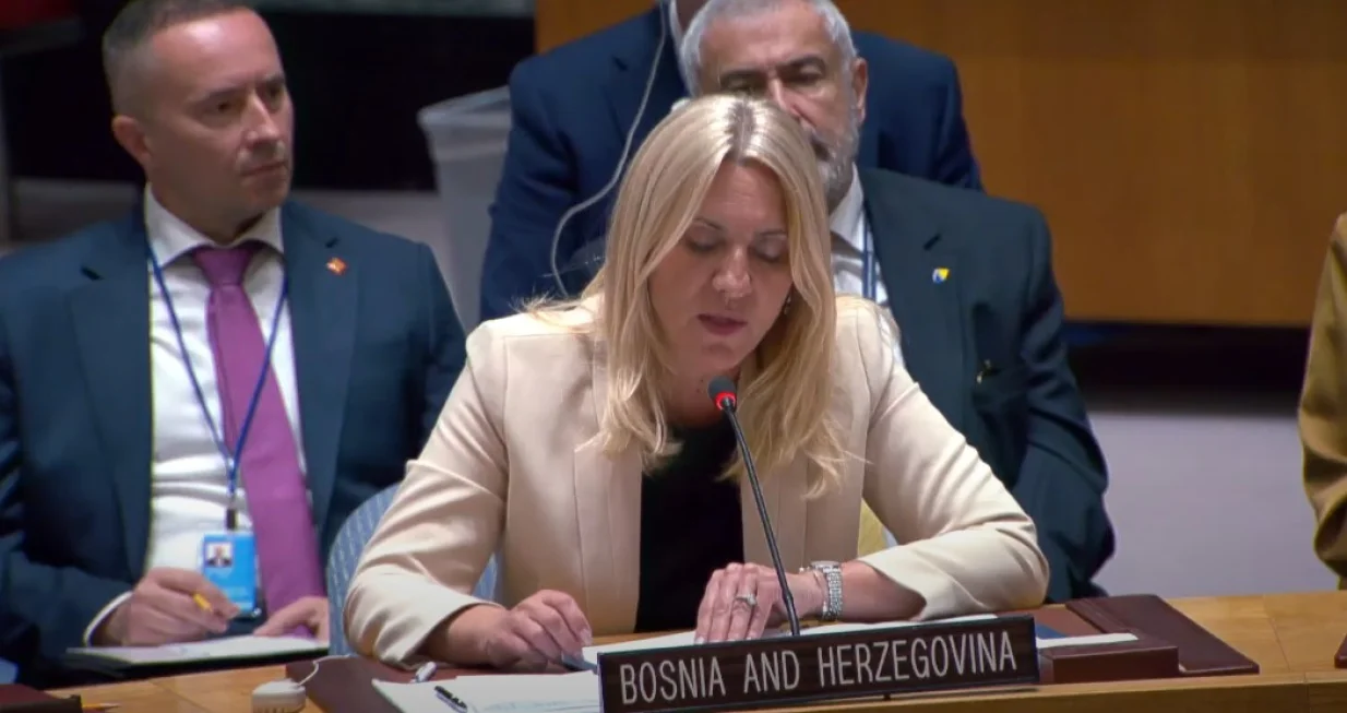 Cvijanović se obratila na sjednici Vijeća sigurnosti UN-a/ YouTube/