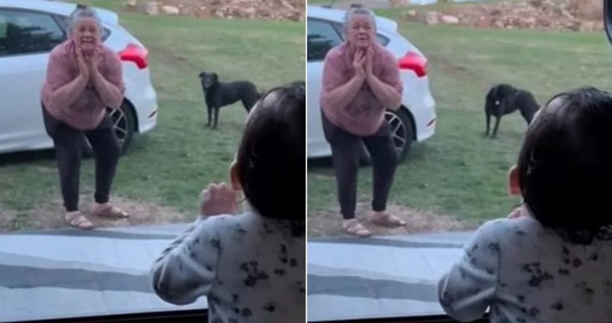 Način na koji se njih dvije svaki put pozdravljaju oduševio ljude/Tiktok/grammanettie5