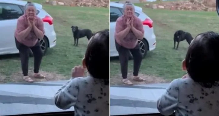 Način na koji se njih dvije svaki put pozdravljaju oduševio ljude/Tiktok/grammanettie5