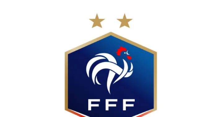fudbalski savez francuske
