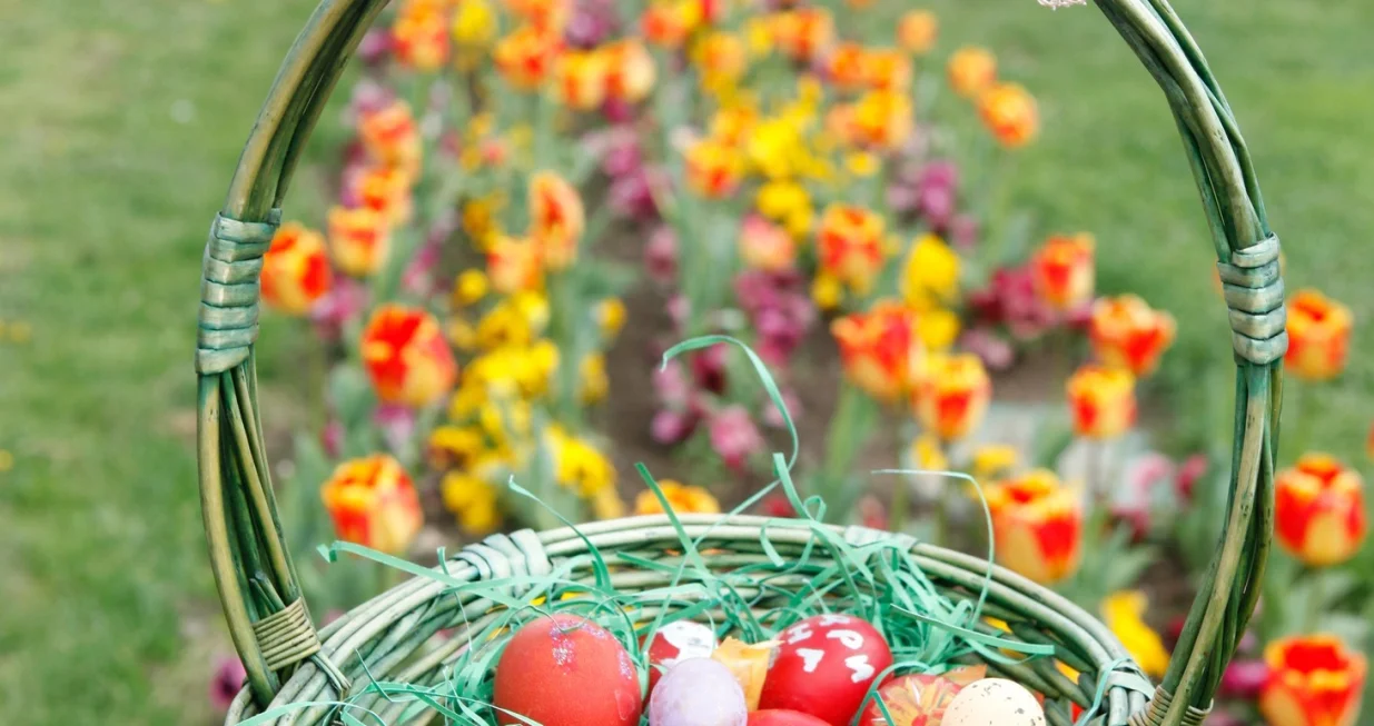 Farbanje jaja za Vaskrs - Banjaluka/