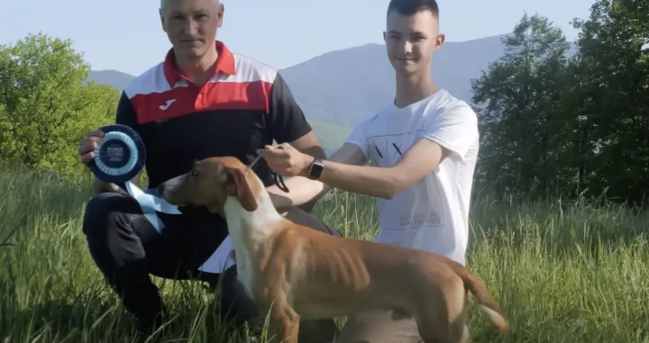 Vinko, Luka i Roni/ YouTube/ Srećko Stipović/