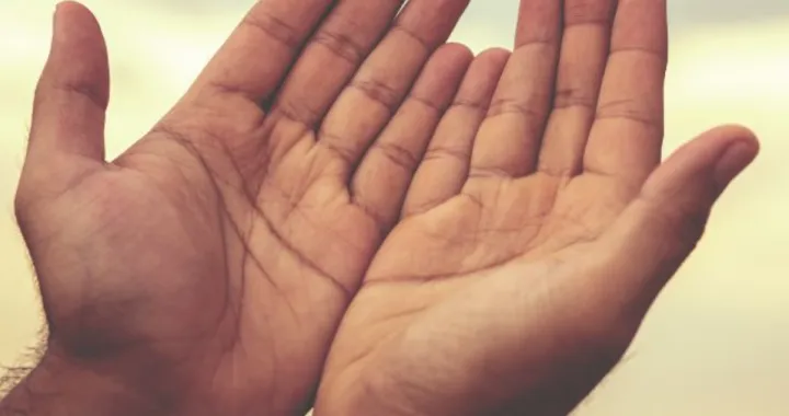 ruke ruka prsti šaka/