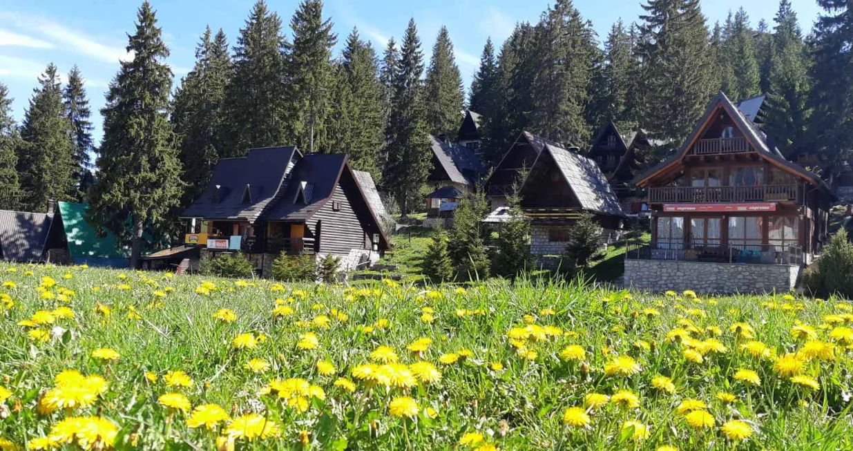 Proljeće na Vlašiću/Tz Travnik