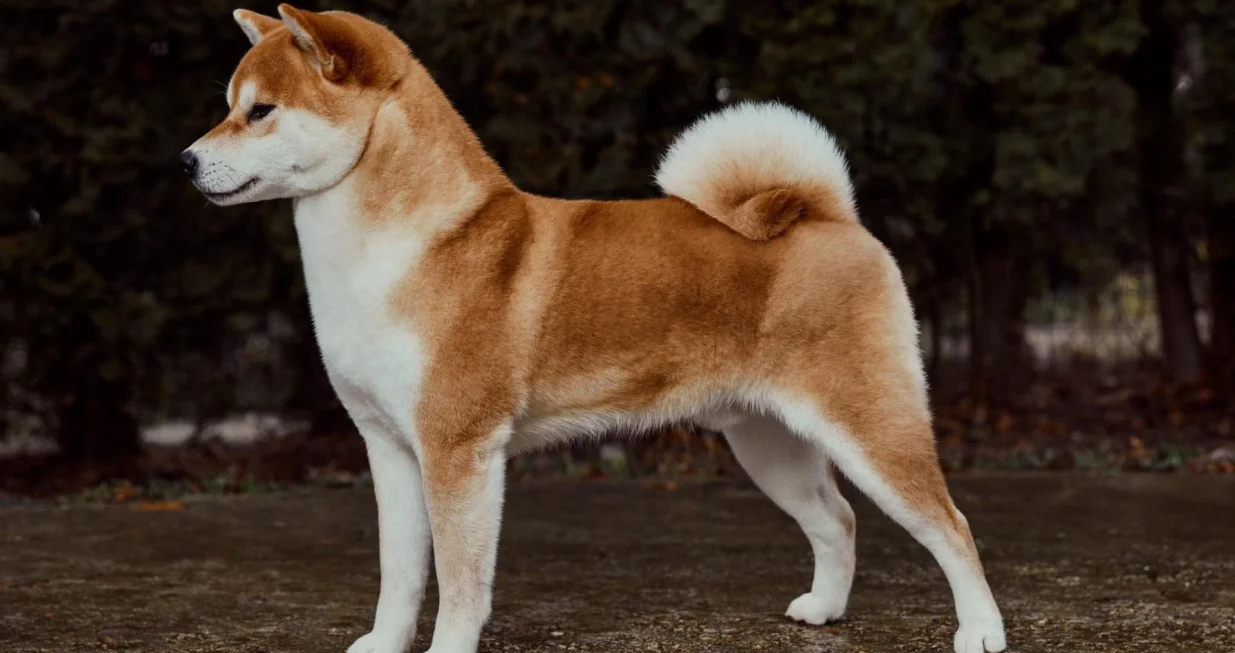 "Sad ću se ja praviti da ne vidim da me slikaju kako sam lijep"/