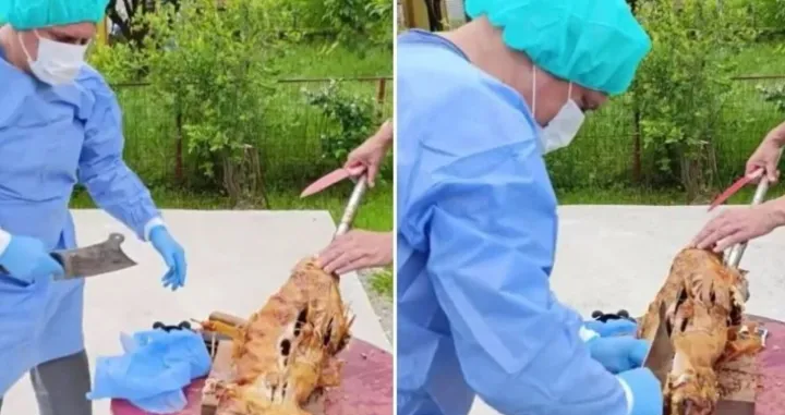 Gozba može početi ili kako izgleda kad hirurg iz BiH "okrene" janje/Facebook/almir Gasevic 