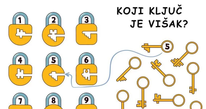 pronađite ključ, katanac, mozgalica, skrivalica, ilustracija/Cdm