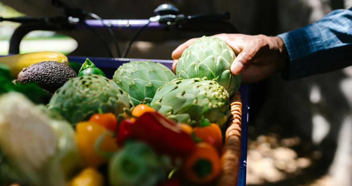 artičoka, artičoke/Pexels