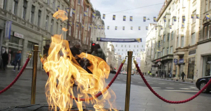 Ilustracije Dan državnosti Bosne i Hercegovine 25 Novembar. Ferhadija i Titova/Senad Gubelić
