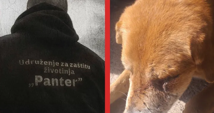 Nije jasno šta mu se tačno desilo/ Facebook/ Udruženje ''Panter''/