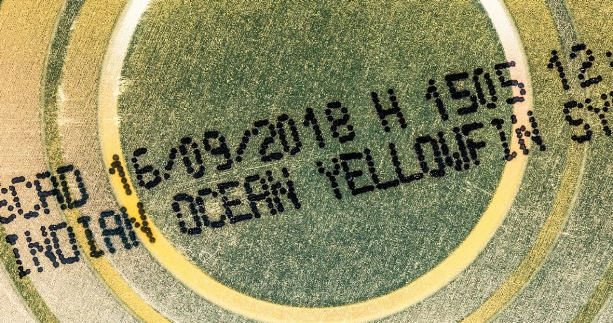 Dobro obratite pažnju/ Ilustracija/