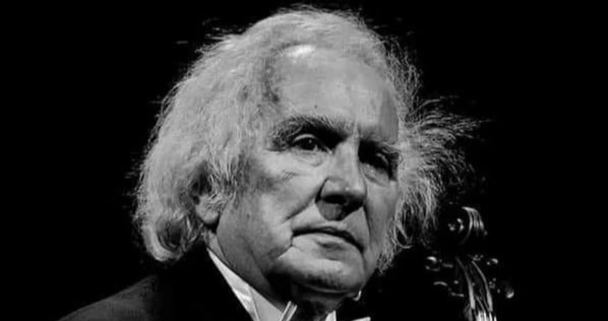 Dževad Šabanagić/