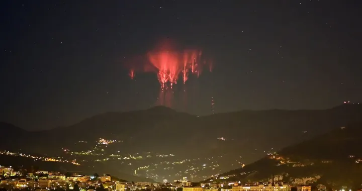 Neobična crvena pojava/ X/Faruk MeД'edoviД‡