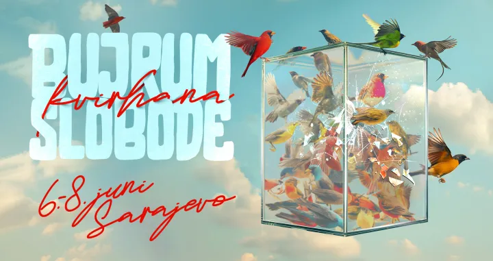 Bujrum slobode, Kvirhana festival 2024/