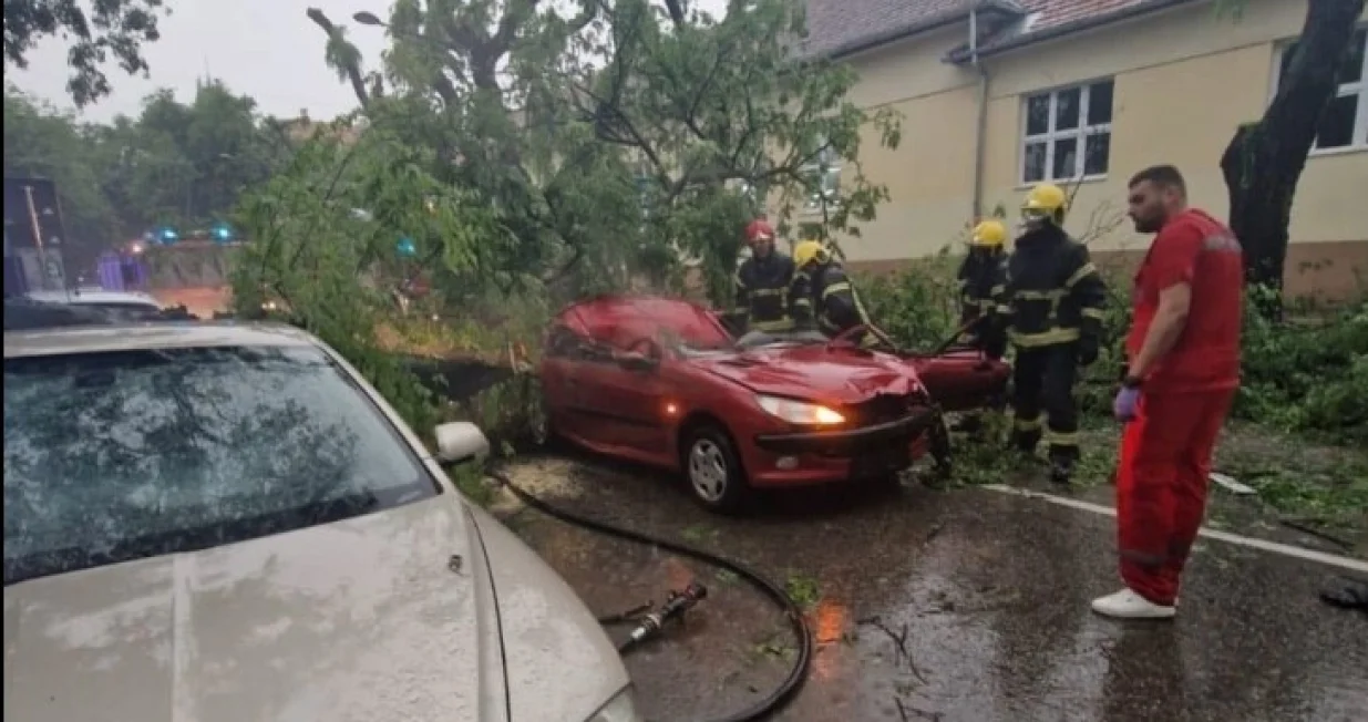 Nevrijeme u Srbiji, poginula žene, stablo palo na automobil, Sombor/