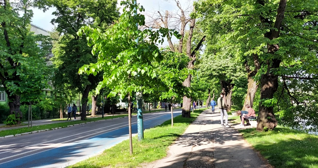 sunce vrijeme/Lejla Sofradžija