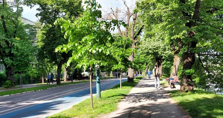 sunce vrijeme/Lejla Sofradžija