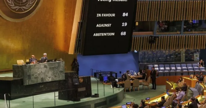 Generalna skupština UN, za Vildanu, glasanje/EPA/