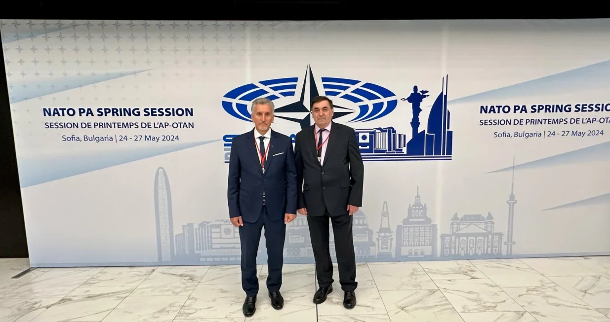 Kemal Ademović i Obren Petrović, NATO/