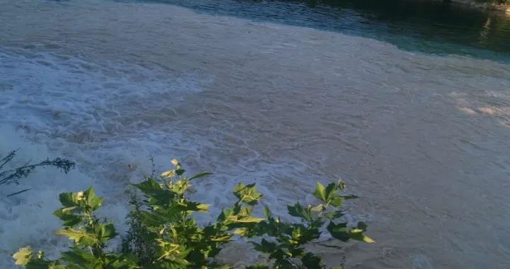 Mulj u Neretvi/Usr Neretva